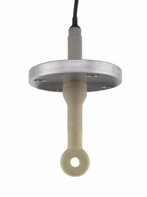 Buy PEEK PFA Digital conductivity sensor Endress Hauser  Indumax CLS50D-AA3B21 online manufacture