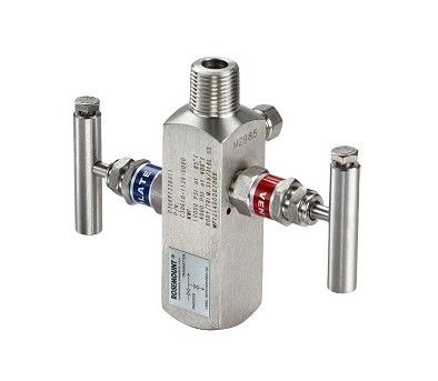 0306RT22BA11 Rosemount 306 In-Line Manifold với chiều dài cảm biến 120 mm